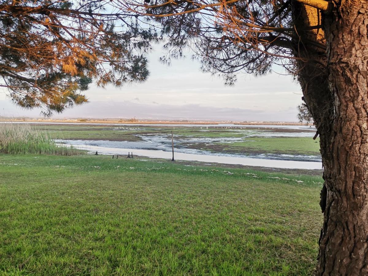 Casa Praia E Ria Torreira Dış mekan fotoğraf